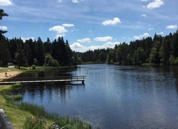 Gite Des 3 Etangs Malvières エクステリア 写真