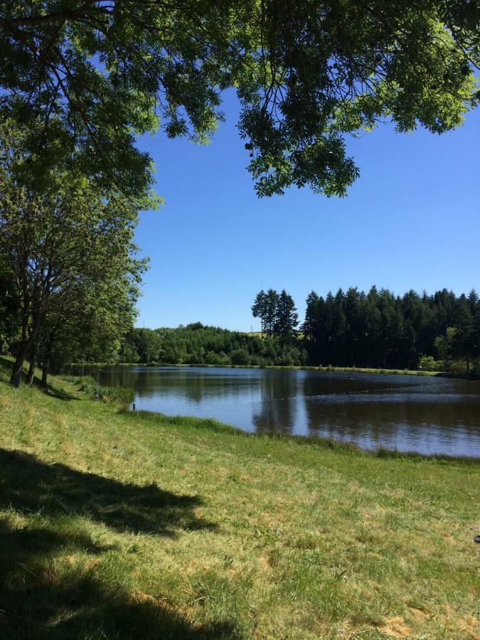 Gite Des 3 Etangs Malvières エクステリア 写真